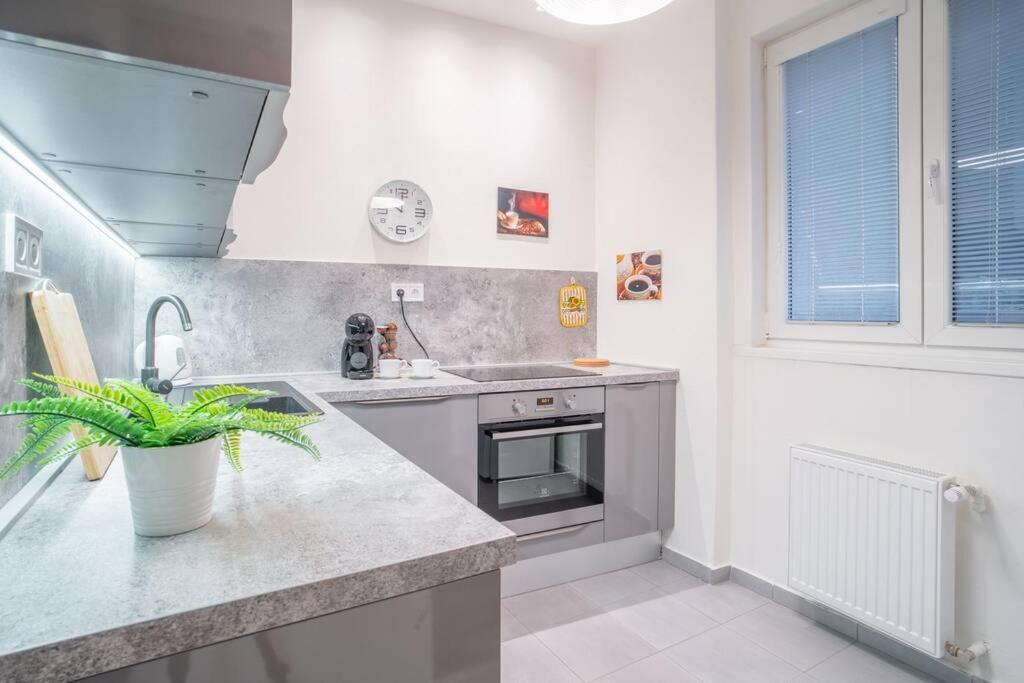 Sukromny Staromestsky Apartman V Uzasnej Lokalite/Cozy Old-Town Apartment In A Great Neighborhood Bratislava Extérieur photo